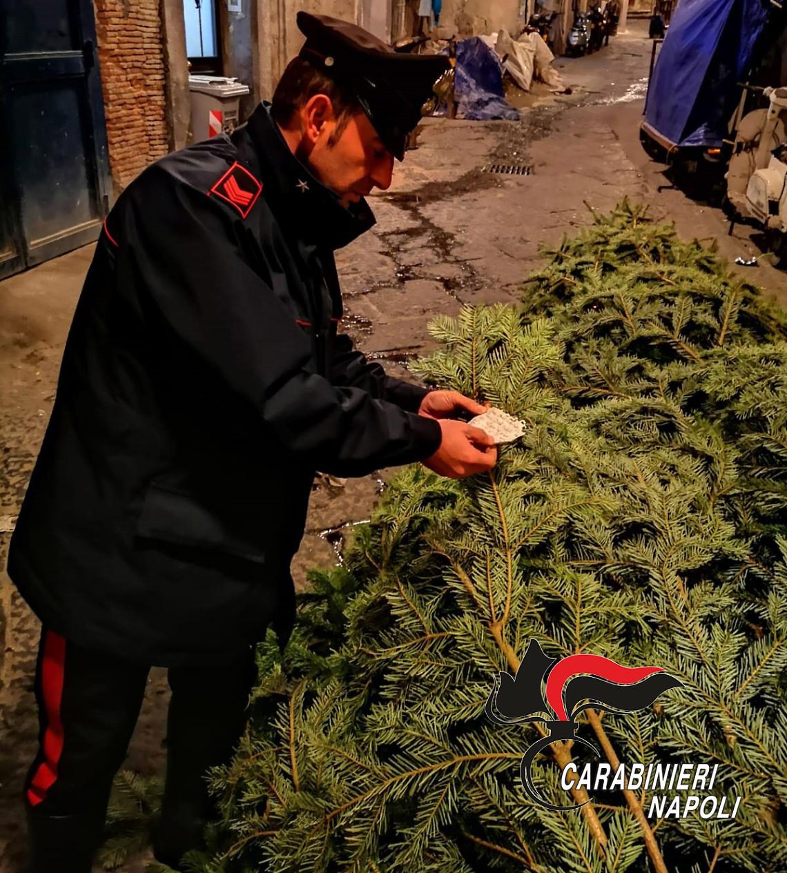 L'albero di Natale della Galleria rubato e ritrovato ai Quartieri Spagnoli
