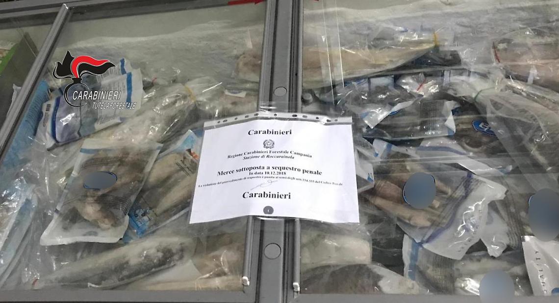 Sicurezza sulla tavola delle feste, sequestrata frutta secca e pesce congelato