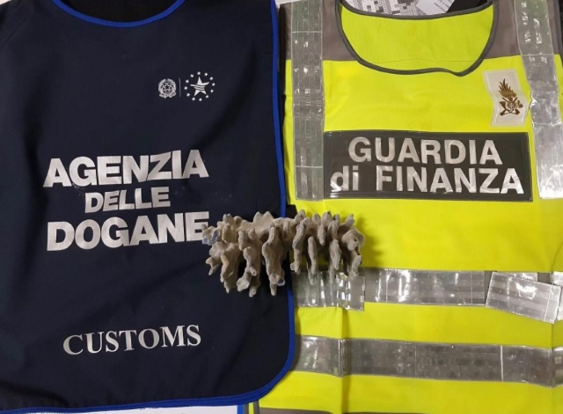 Soldi nei bagagli, sequestri e multe per 14mila euro