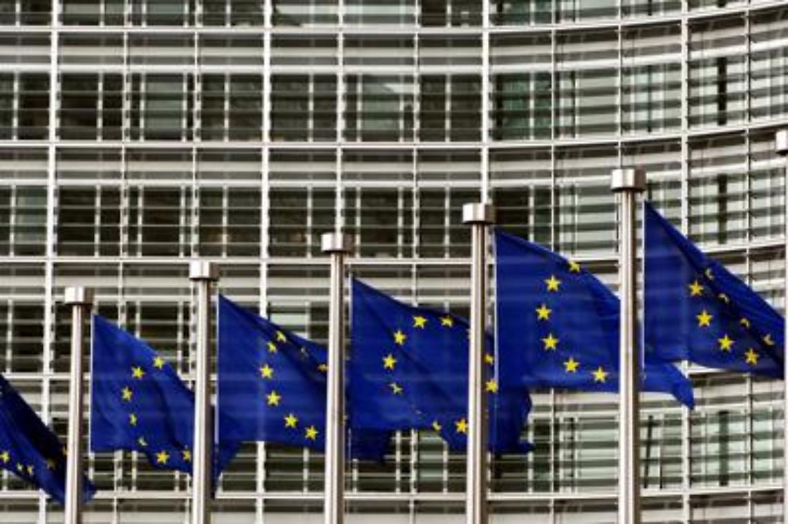 Social, fake e voto: Ue preoccupata