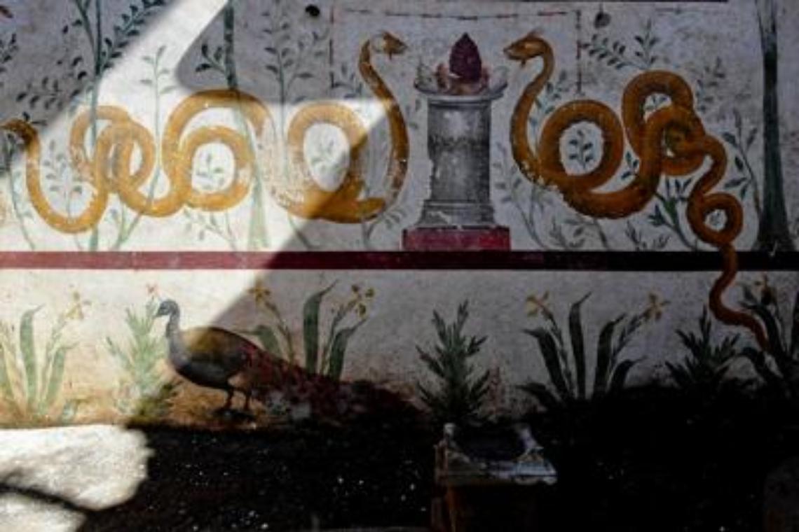 Scavi di Pompei, torna alla luce il "giardino incantato" del larario 