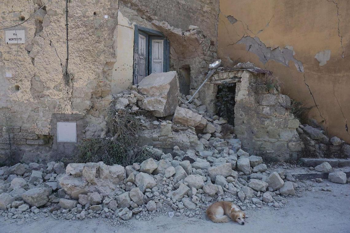 Sisma a Ischia, commissario ricostruzione: 640 edifici inagibili e 694 famiglie sfollate