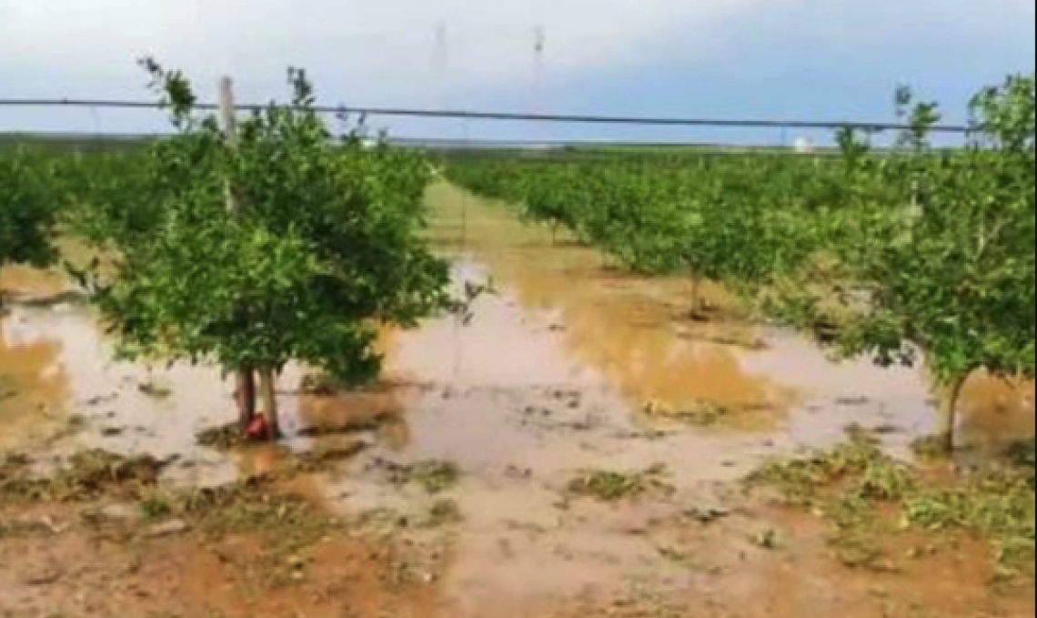 Il maltempo distrugge i campi tra Irpinia e Sannio