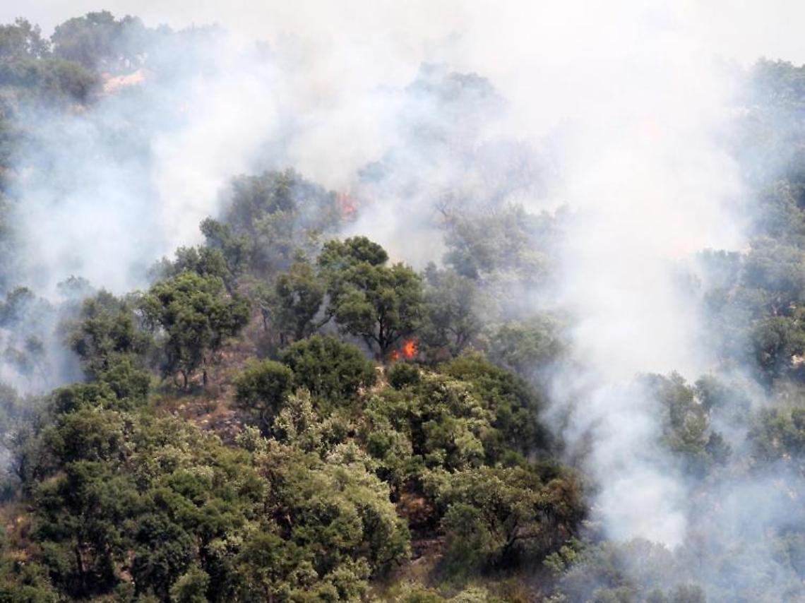 Incendi, Protezione civile: richiesta attivazione meccanismo europeo