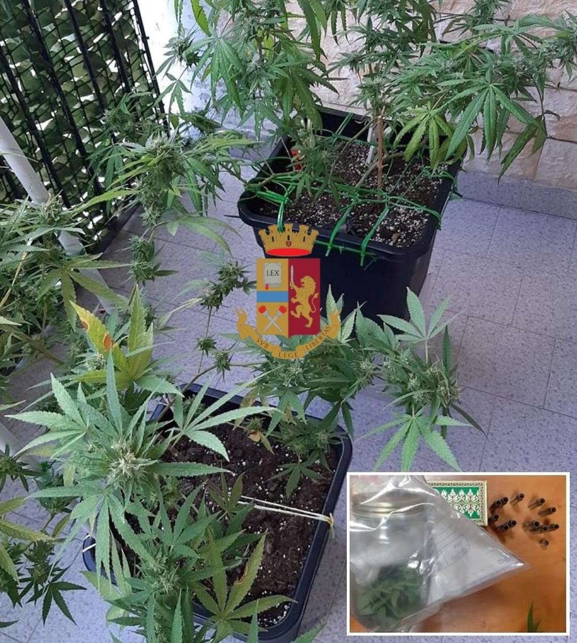 Marijuana e cartucce esplose in casa, 36enne nei guai