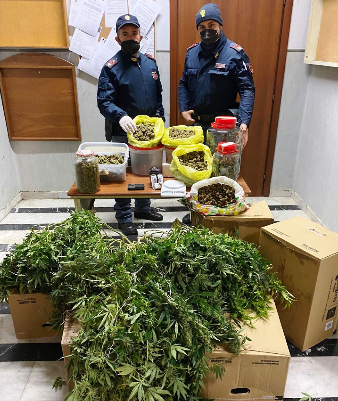 Scoperta serra di marijuana, due arresti