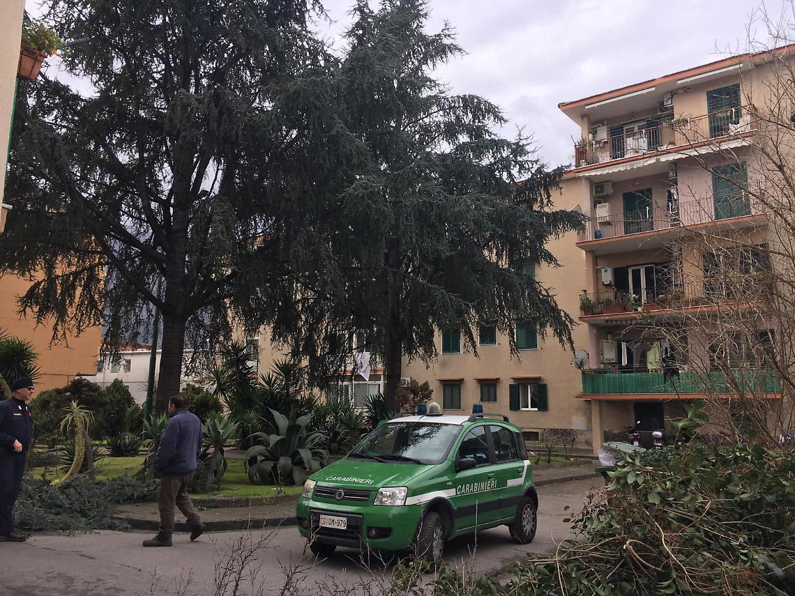 Guardia Forestale sorveglia sul verde cittadino controllando sulla preservazione delle piante sane
