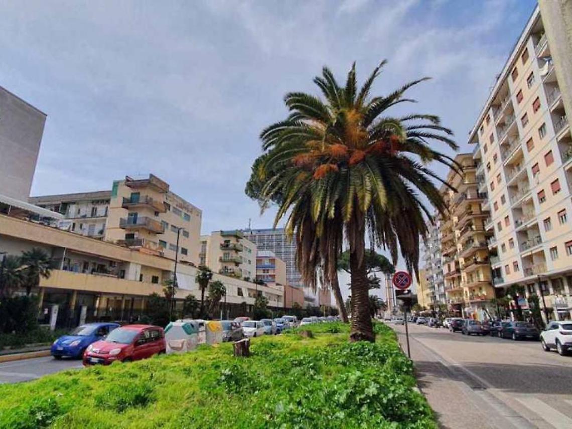 Ecco i bersagli dell'agguato in piazza San Vitale