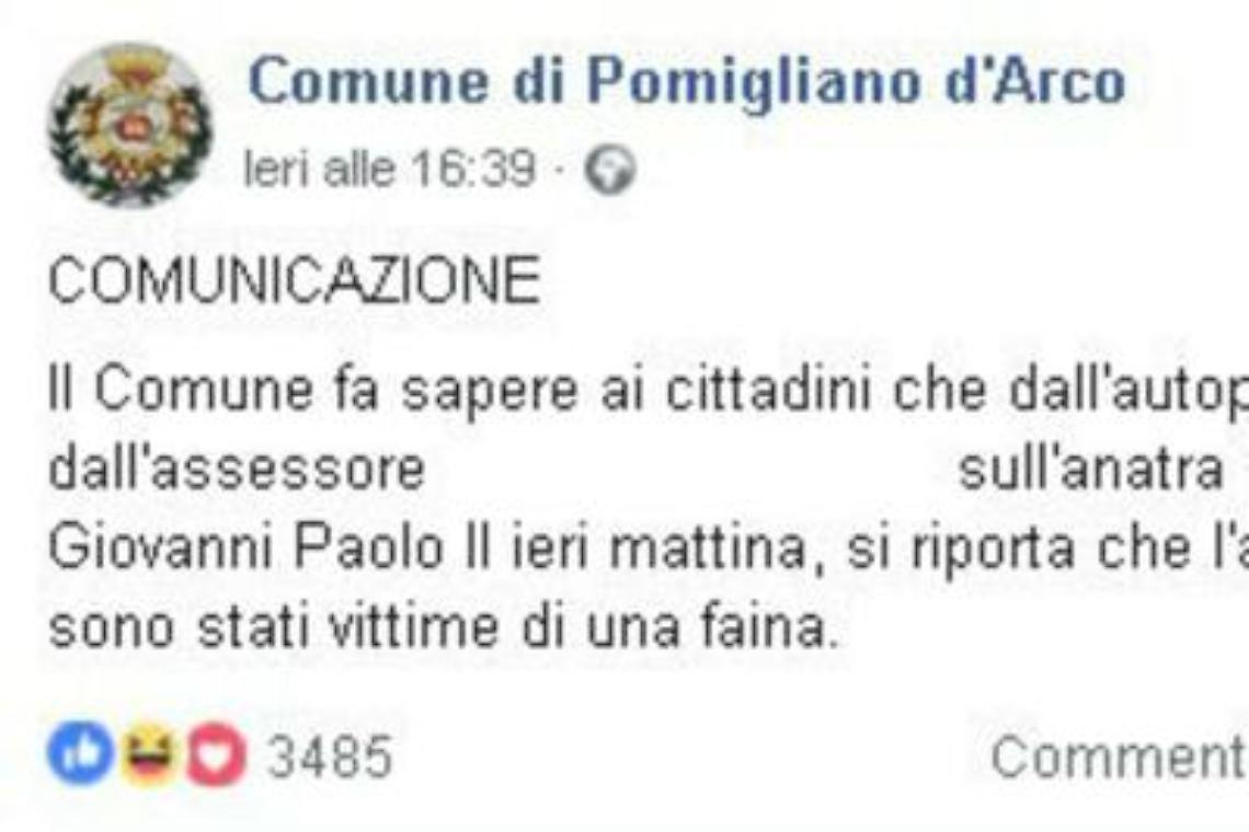 Pomigliano d'Arco, l'autopsia sull'anatra impazza sui social