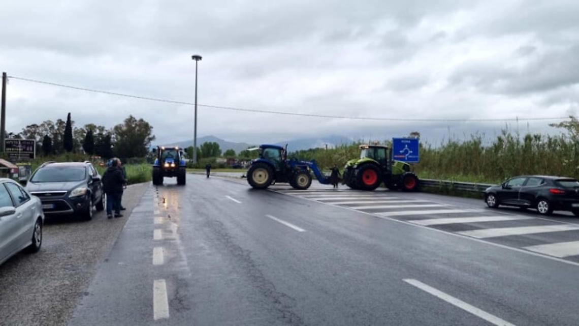 Brucellosi bufalina, rivolta degli allevatori: presìdi e blocchi stradali