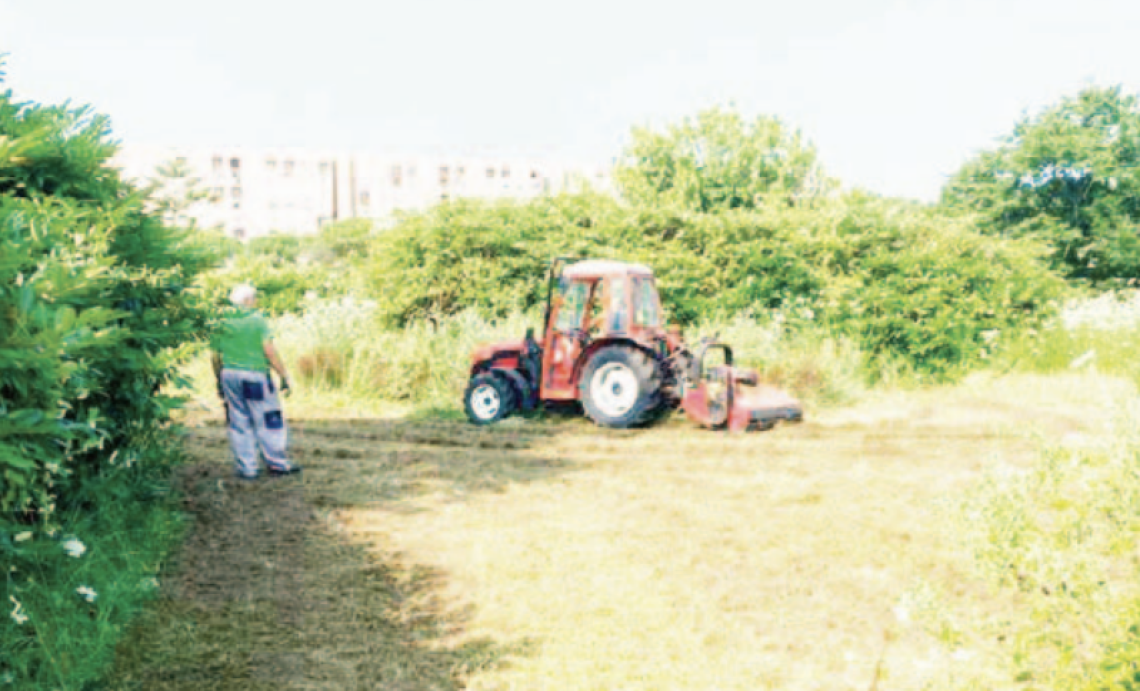 «Parco Troisi, servono altri interventi»