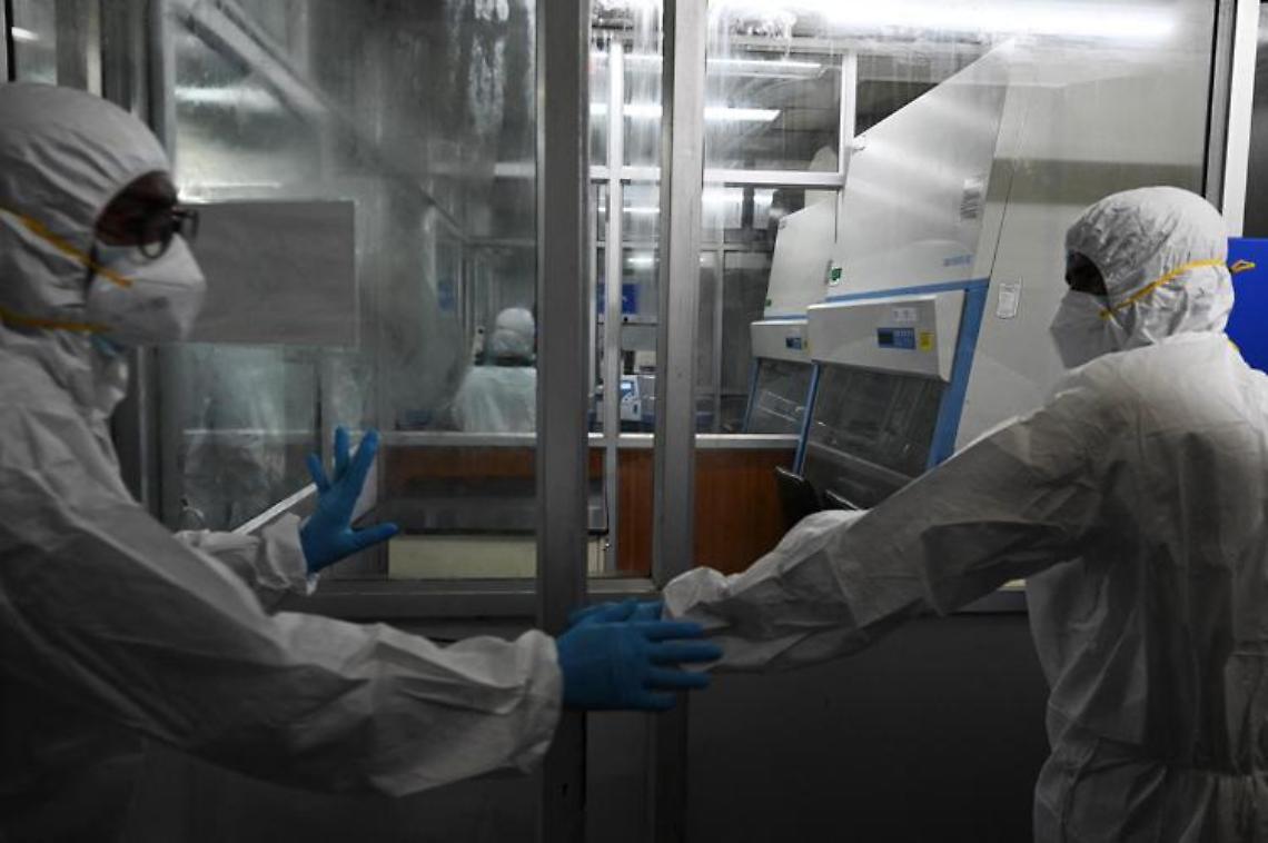 Vaiolo scimmie, possibile la quarantena