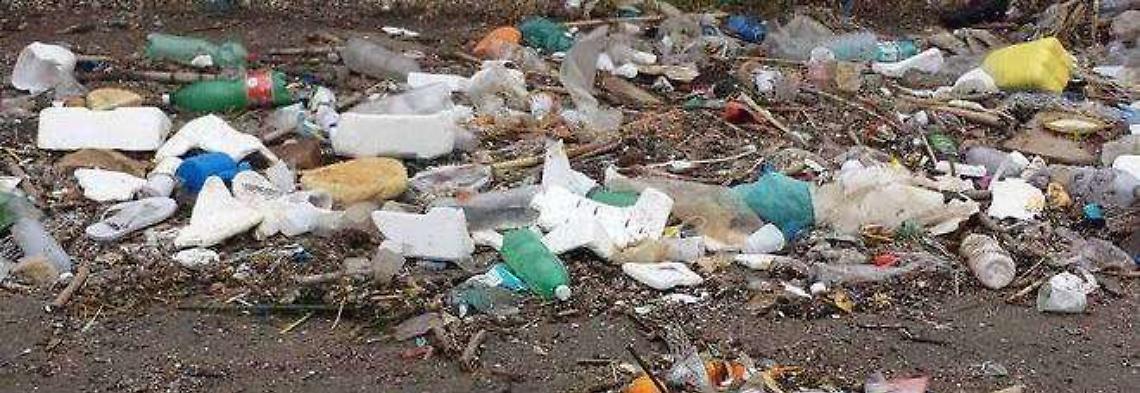 Licola, spiagge invase dai rifiuti dopo le mareggiate