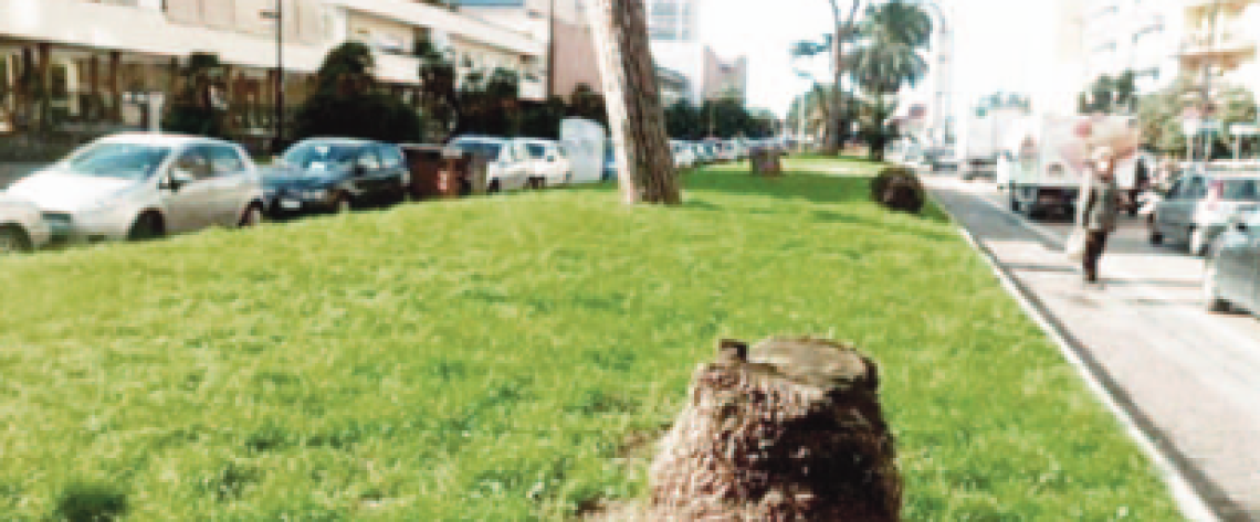 Verde in città, tutto da rifare