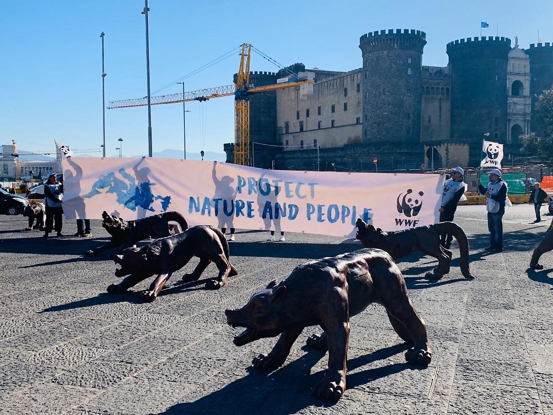 Cop21, flash mob del Wwf per Mediterraneo sostenibile