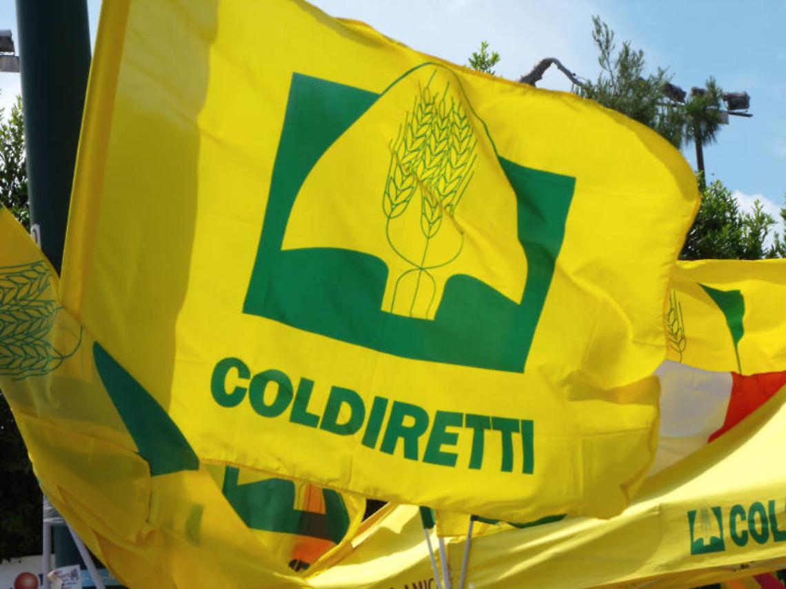 Il “Villaggio Contadino di Coldiretti” a piazza Municipio