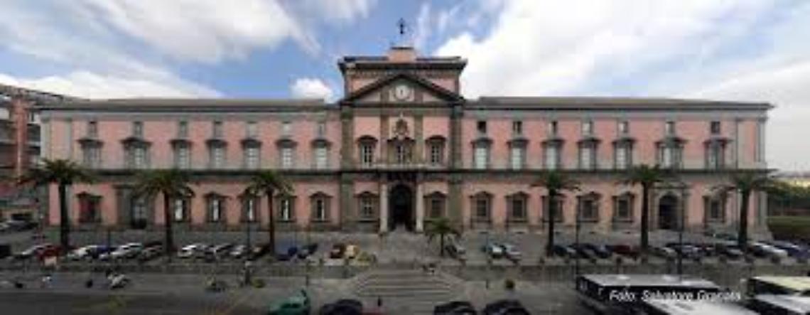 Musei gratis, record per l'Archeologico di Napoli: 7.773 visitatori