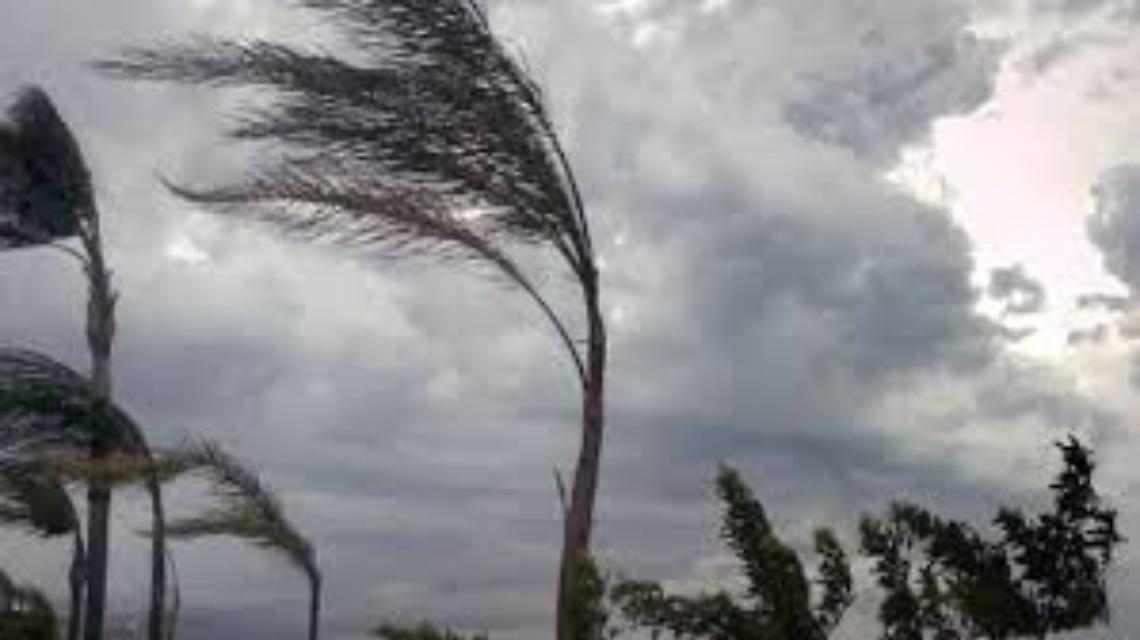 Forte vento in Campania, disagi e alberi caduti