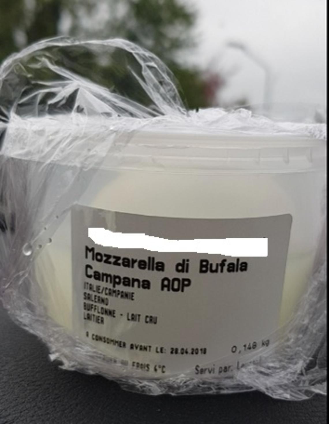 Scoperta a Bruxelles mozzarella di bufala tarocca