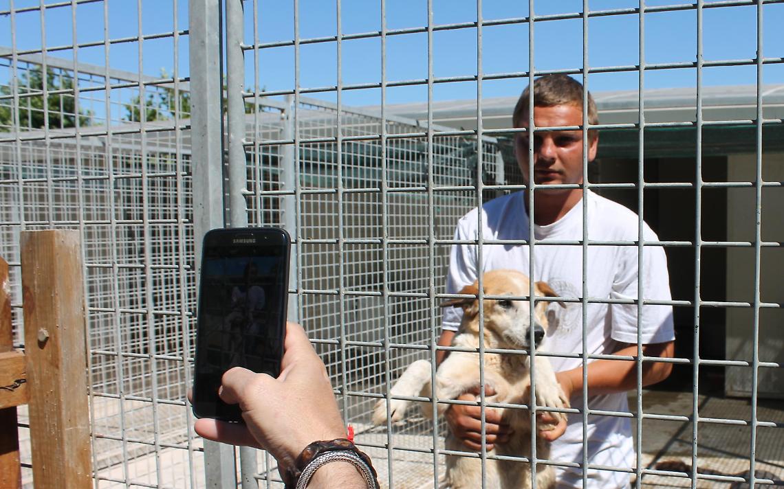 Frattamaggiore, ispezione a sorpresa nel canile