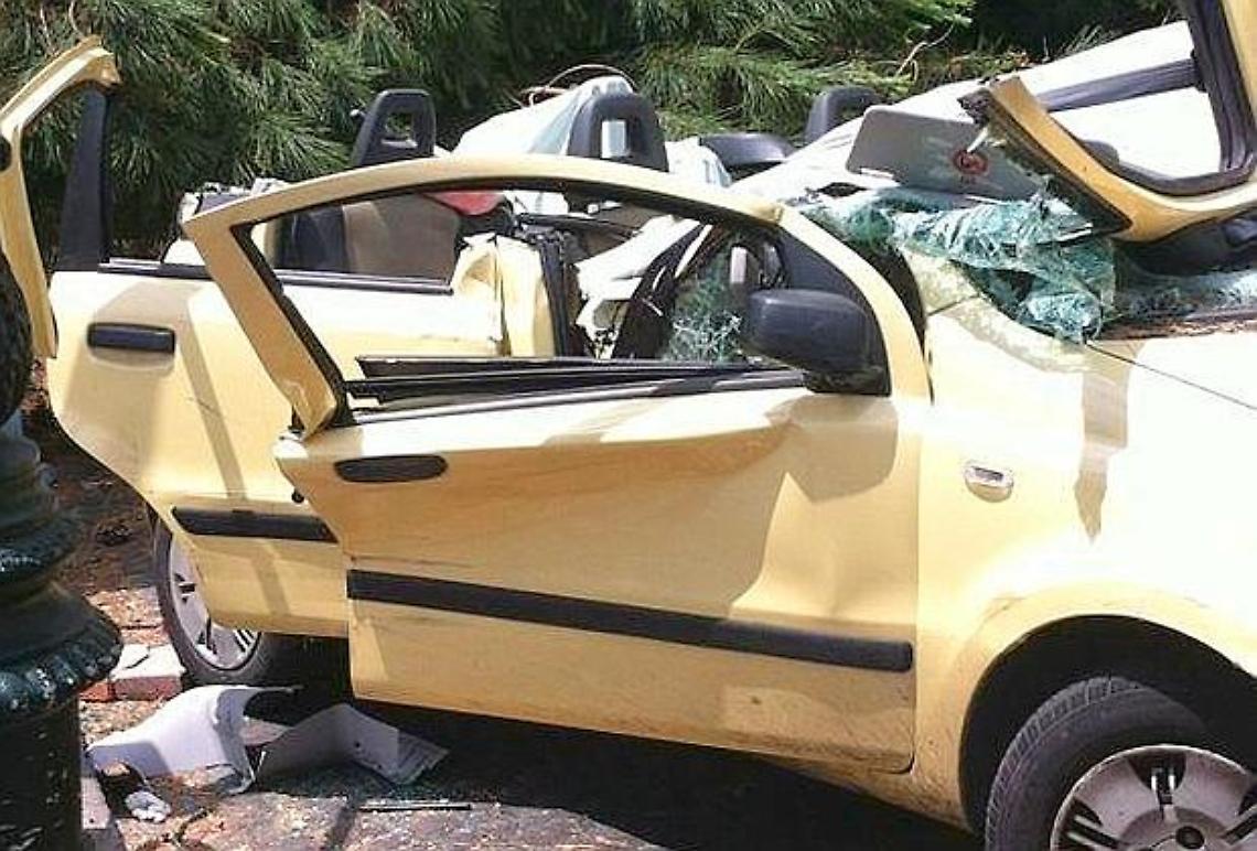 Morta schiacciata da un pino, due condanne in Appello