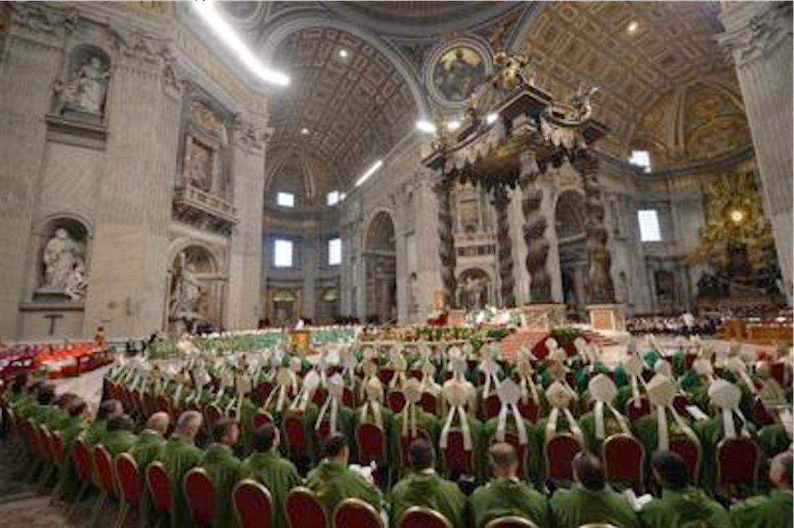Il Papa: il Sinodo non è un Parlamento <br>dove regna il compromesso