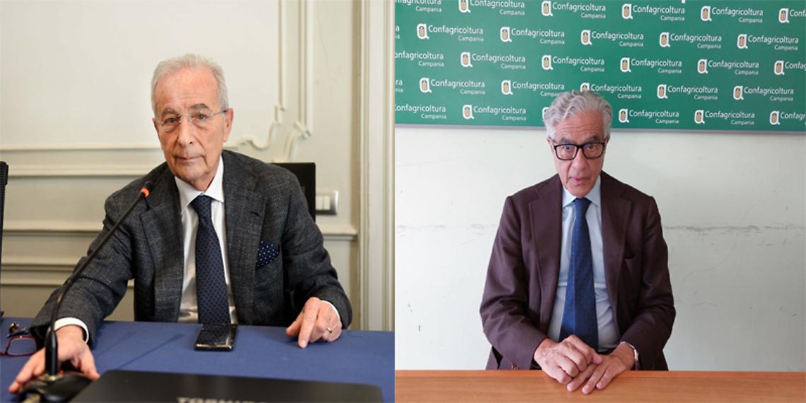 Turi: “Commercialisti determinanti per la competitività delle aziende agricole”