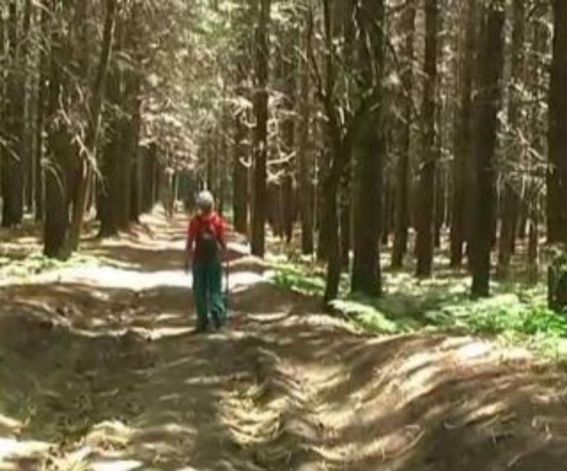 Salerno, si cerca un 78enne disperso in montagna