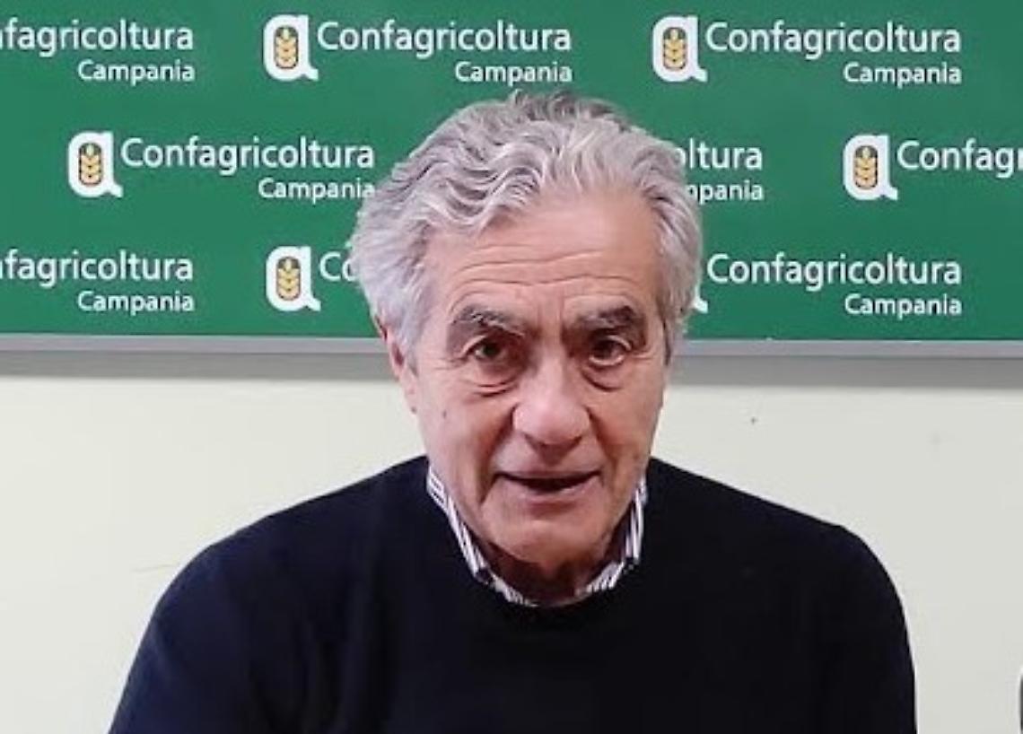Confagricoltura Campania: politica agricola comune inadeguata