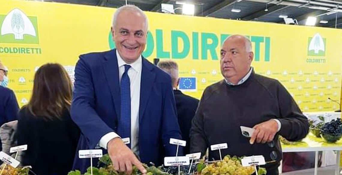 Emergenza cinghiali, Coldiretti Campania incontra Caputo