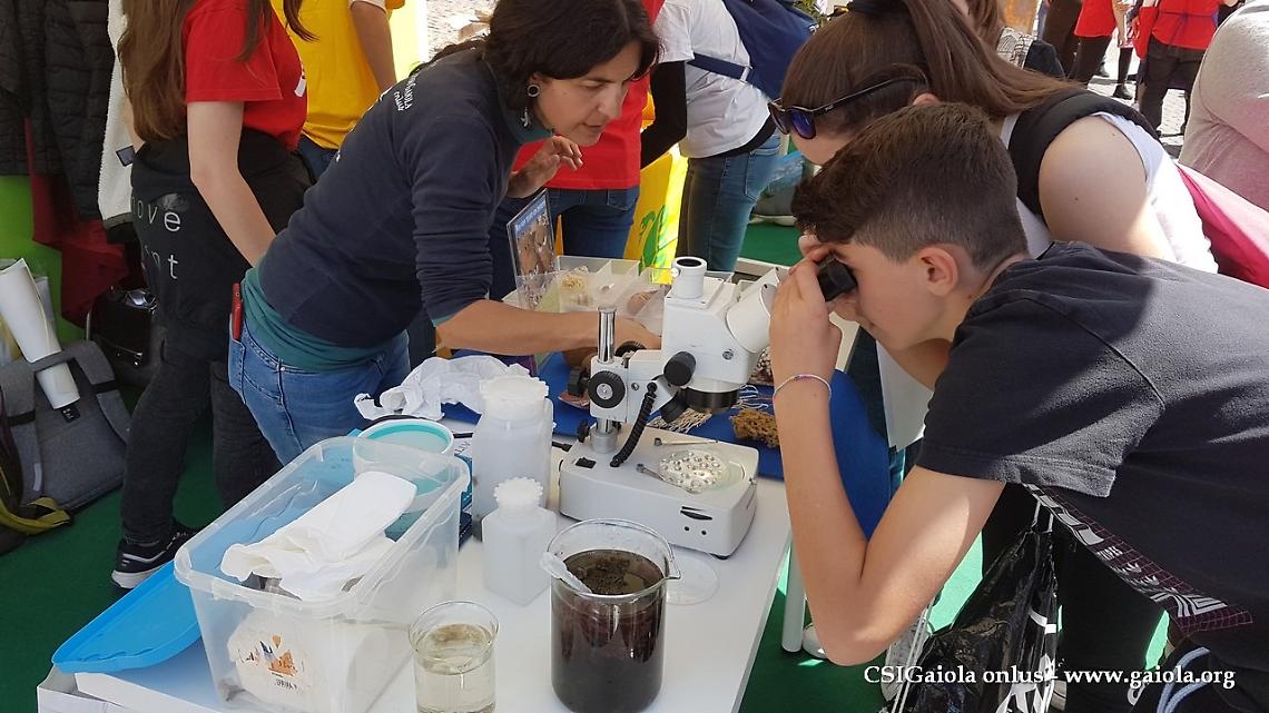 World Oceans Day, laboratori didattici sull’universo marino alla Gaiola