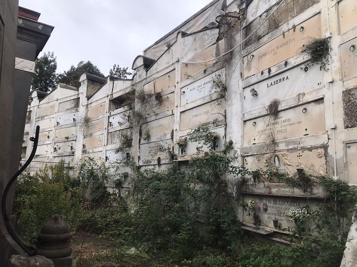 Cimitiero monumentale tra degrado e immondizia