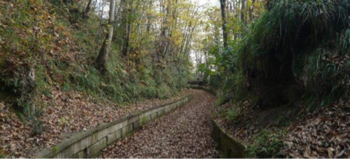 Parco dei Camaldoli chiuso, appello a de Magistris: manca una delibera