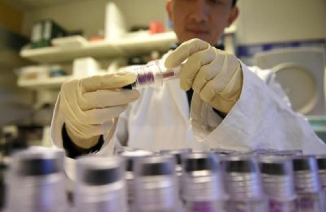"Può uccidere in 90 giorni", allarme Candida auris