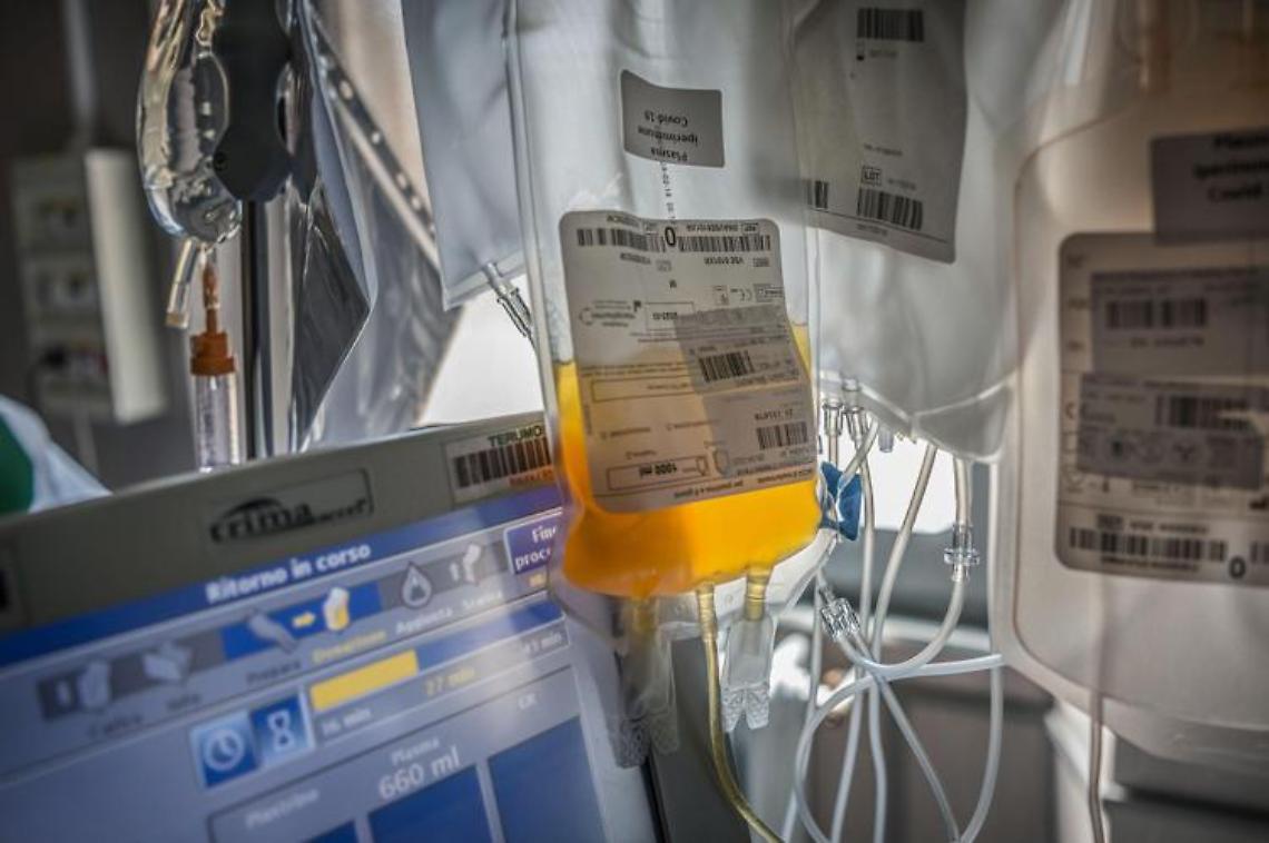 Covid, il plasma non riduce rischio morte. I risultati dello studio 