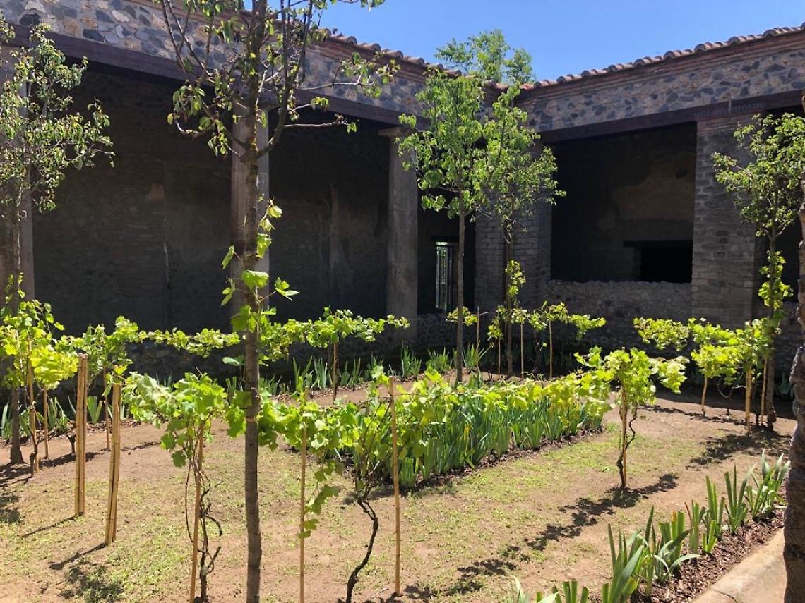 Fase 3 a Pompei, nuovi itinerari e aperture inedite