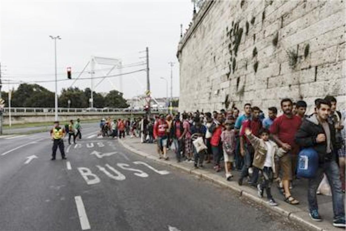 Immigrati, Orban: «Accelerare <br>la costruzione <br>del muro»