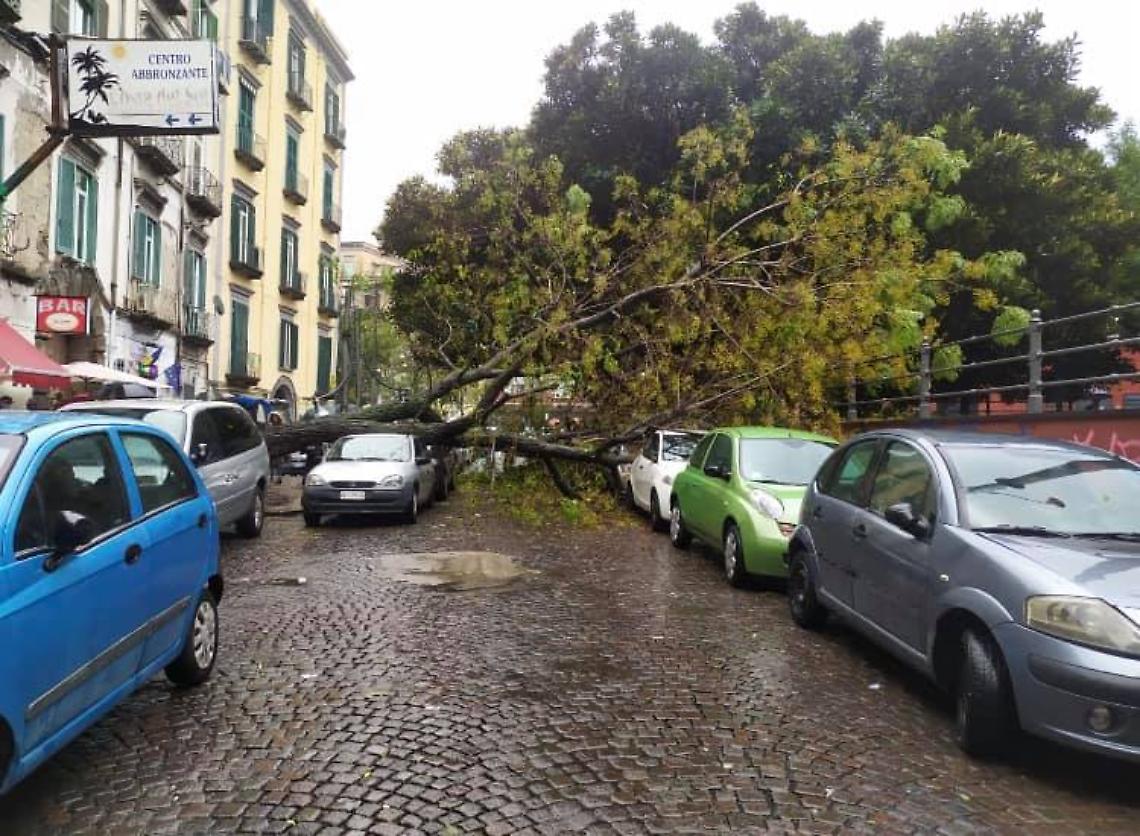 Maltempo, albero crolla su auto in piazza Cavour
