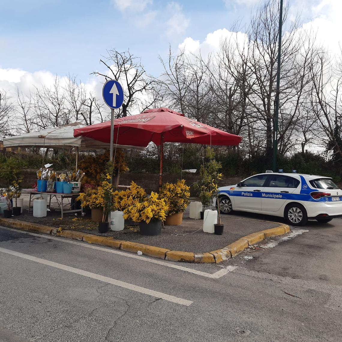 Vendita abusiva di mimose, raffica di sequestri