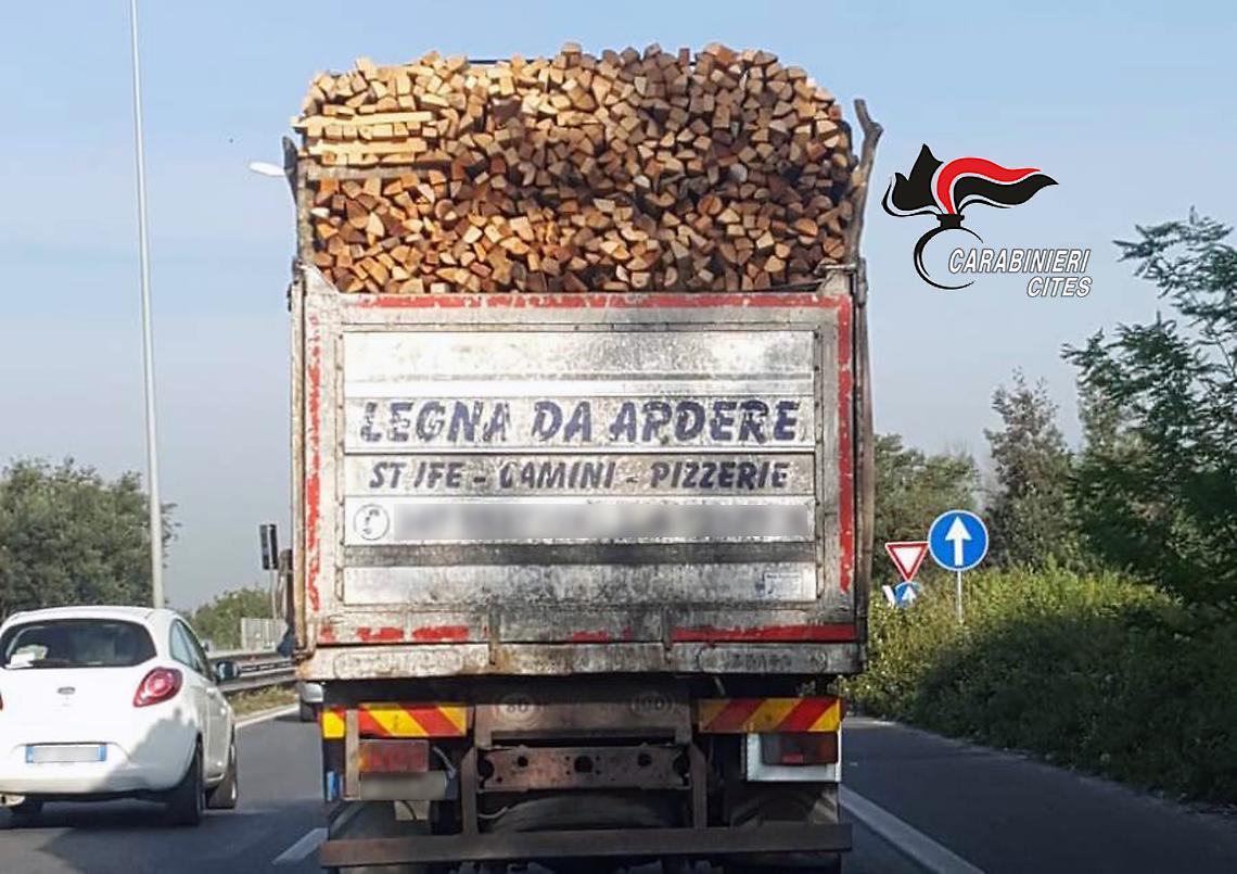 Controlli dei carabinieri nelle pizzerie, sanzioni per 30mila euro