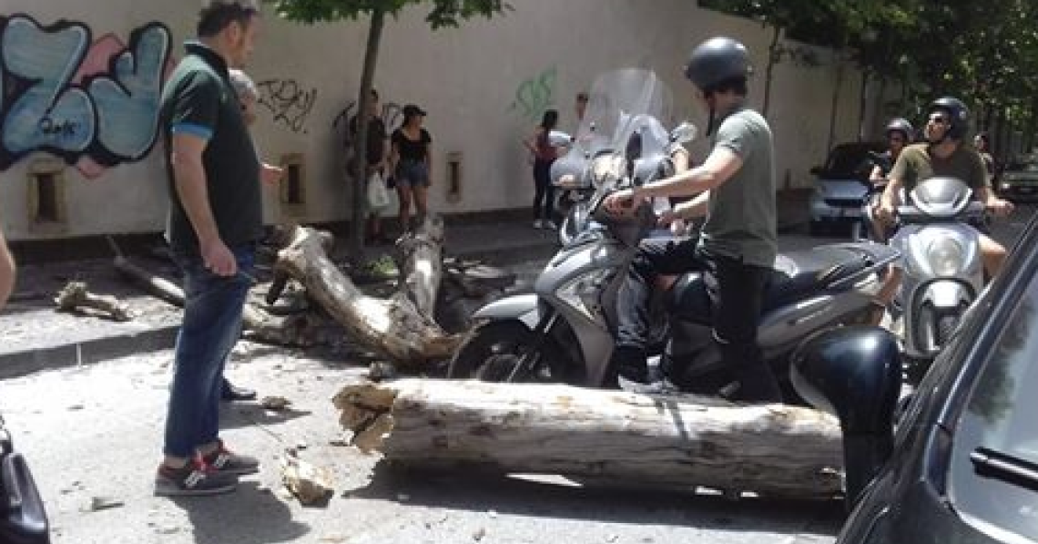 Cade tronco in via Cimarosa: altra tragedia sfiorata
