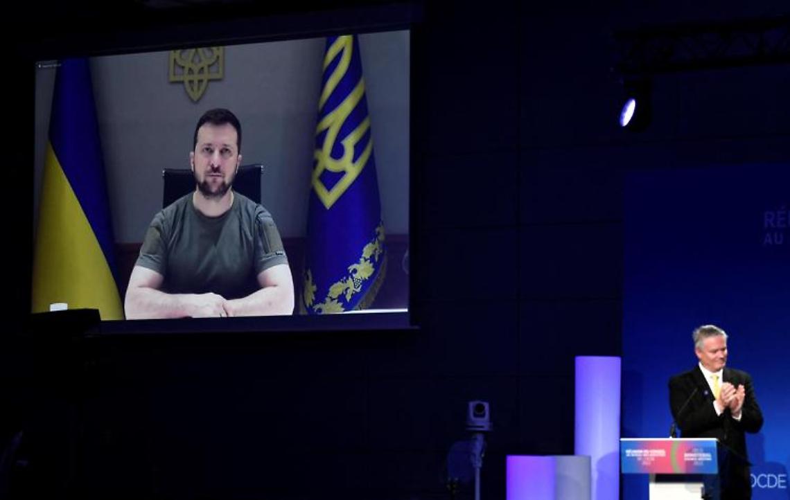 Ucraina, Zelensky all'Ocse: «Russia fuori da Fao»