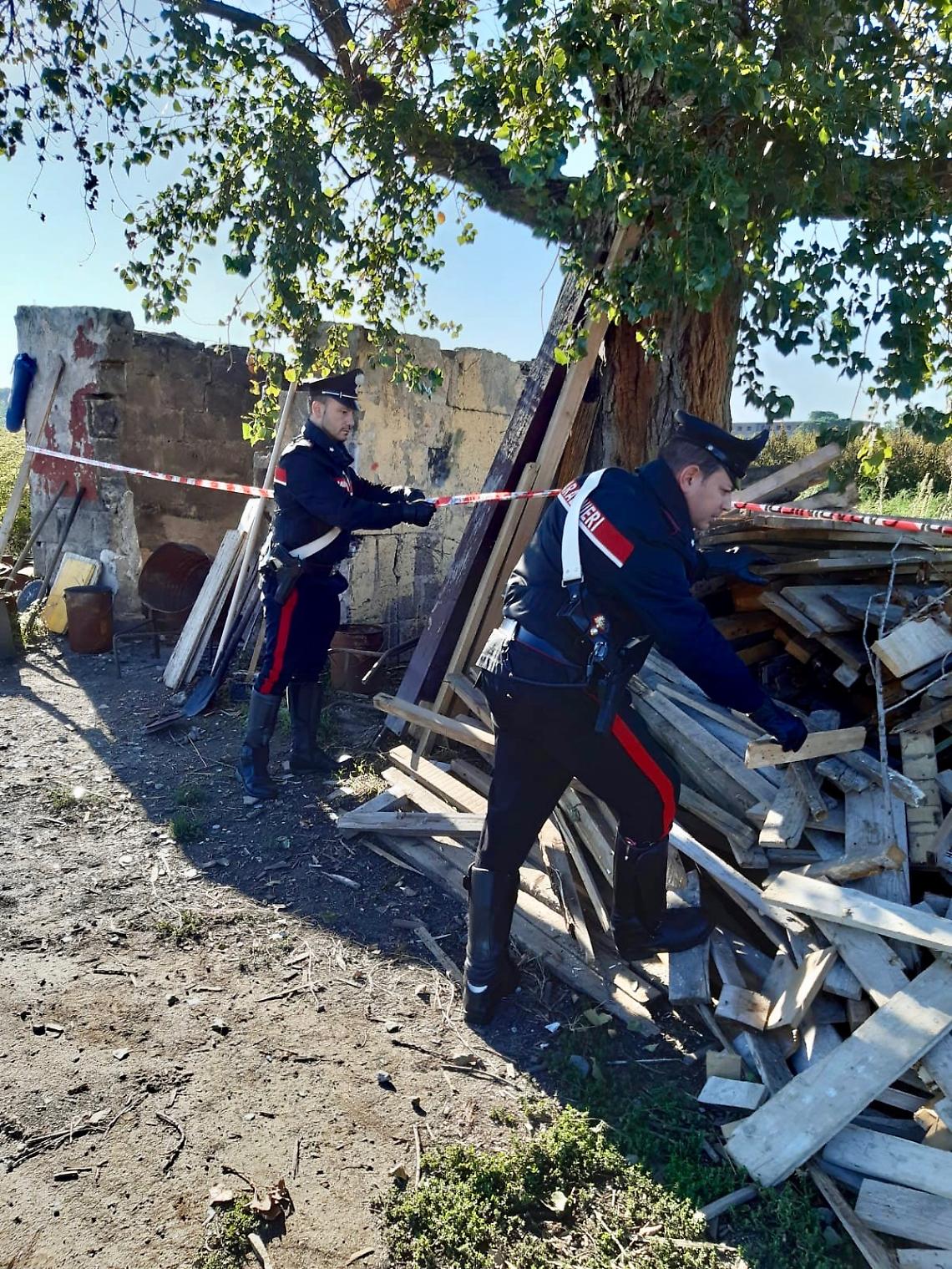 Giugliano, sorpreso a dare fuoco a legno formicato: arrestato
