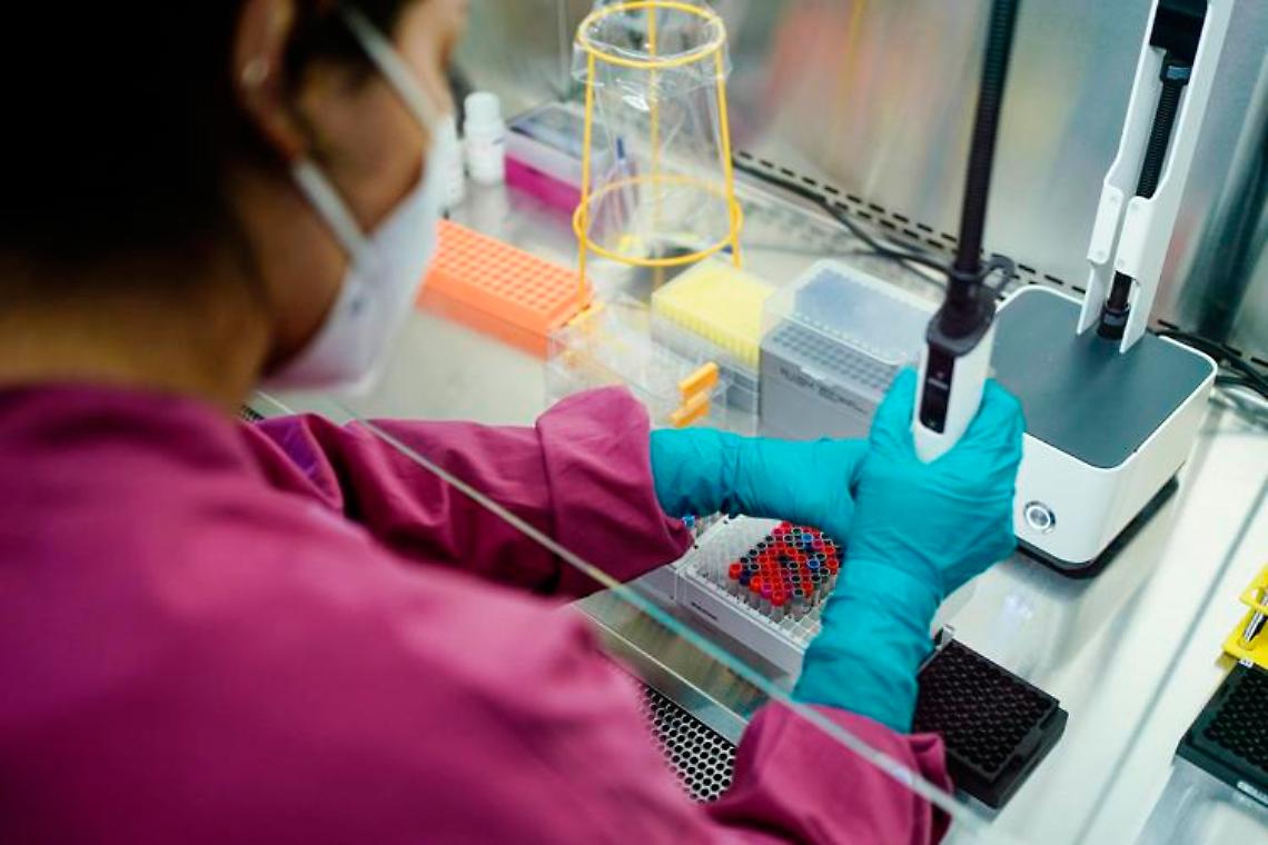 Covid, in saliva e sangue le 3 spie per predirne gravità