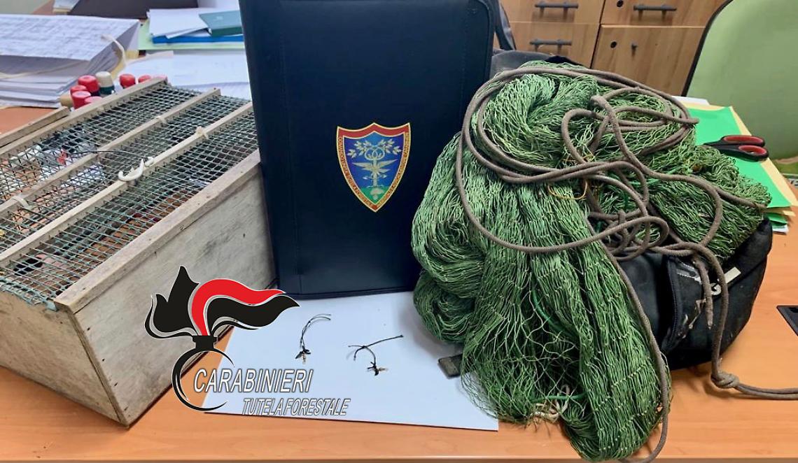 Marigliano, trappole per uccelli: denunciato un 46enne