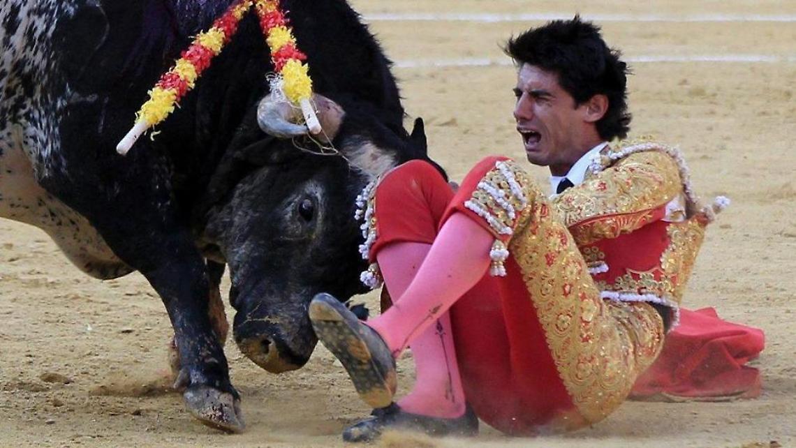 Spagna: torero incornato durante corrida, muore a 29 anni