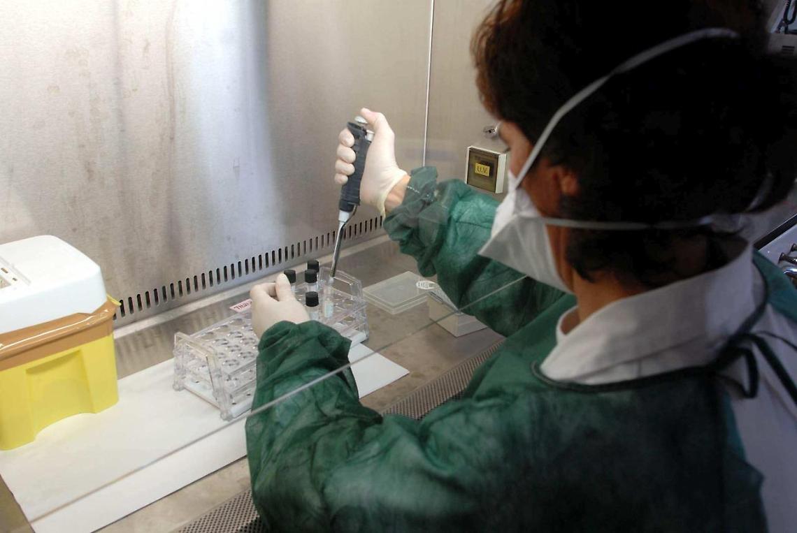 Covid, Usa: ok all'uso di anticorpi monoclonali Eli Lilly