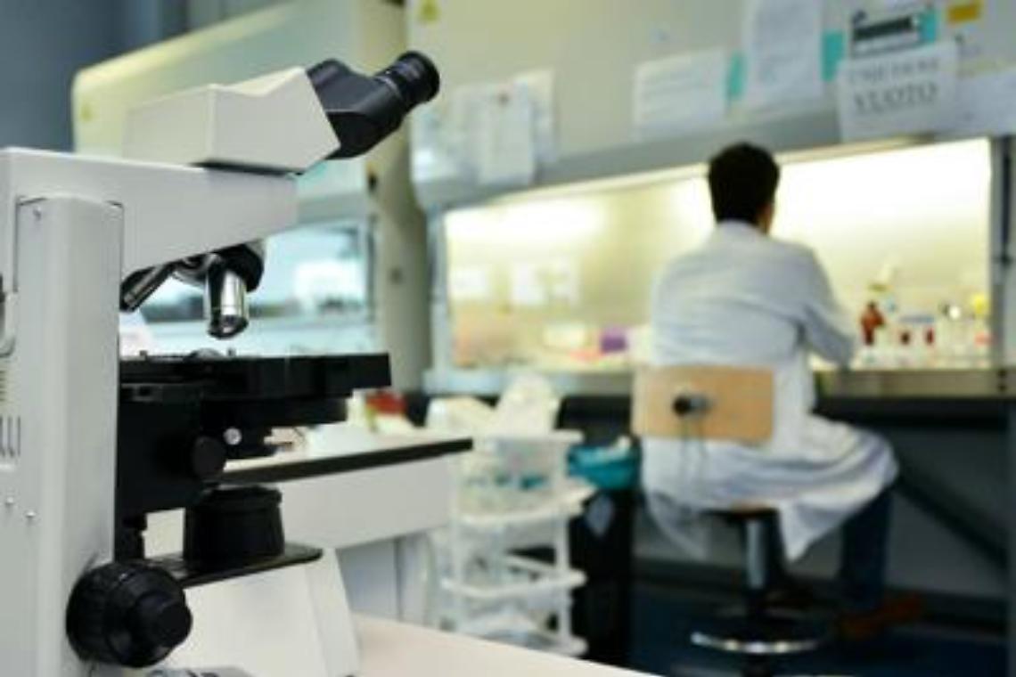 Tumori, creata molecola "killer": uccide solo le cellule malate