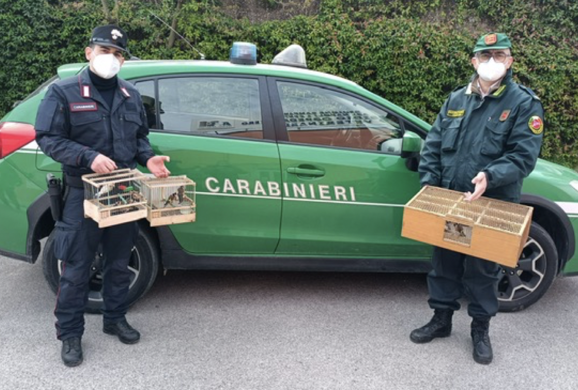 Ganci legati ai cardellini, denunciato 61enne