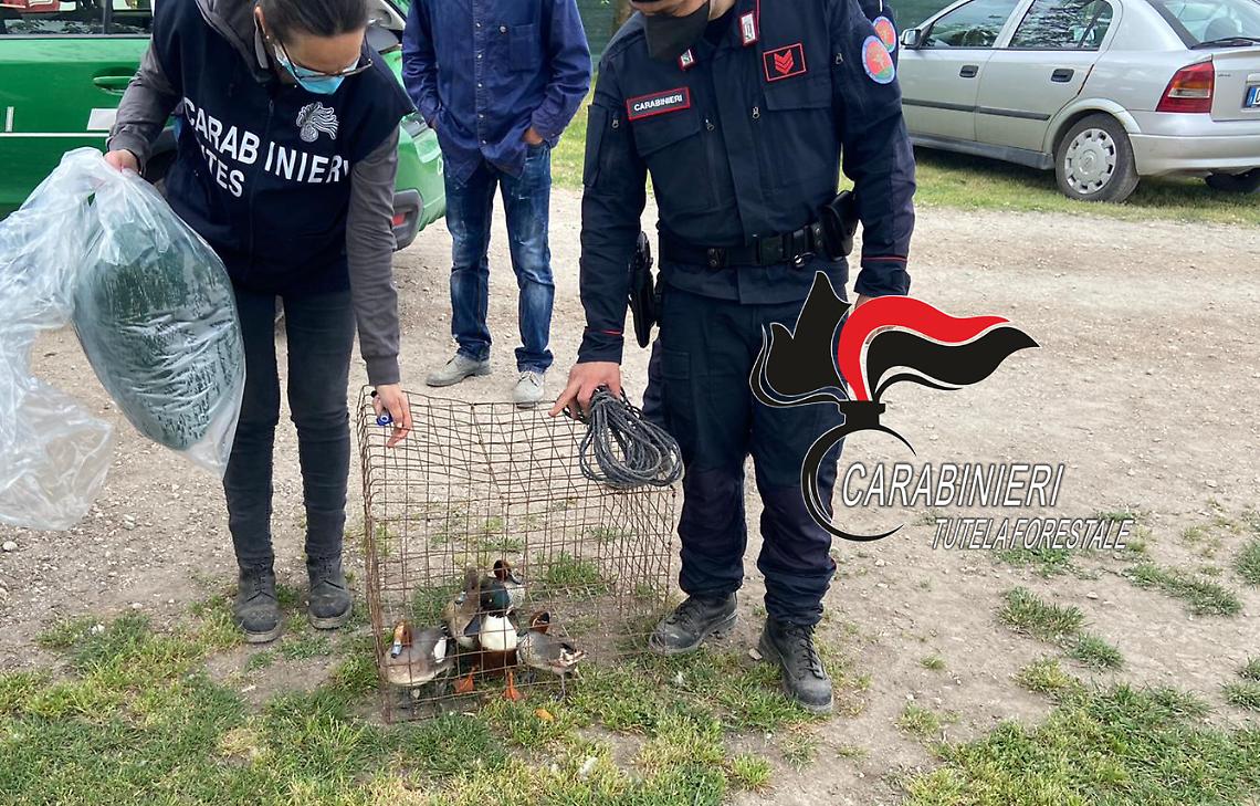 Operazione antibracconaggio, sequestri e denunce